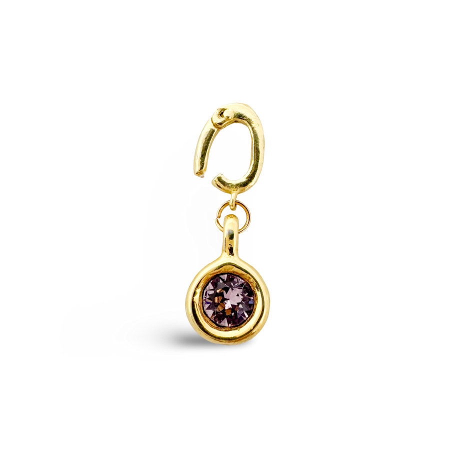 Birthstone Classic Gold Charms