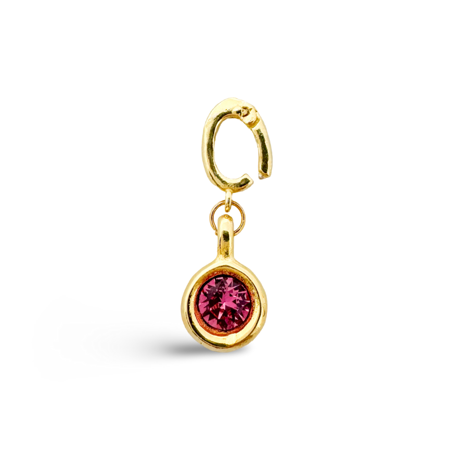 Birthstone Classic Gold Charms