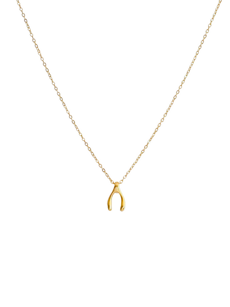 Wishbone Pendant Necklace